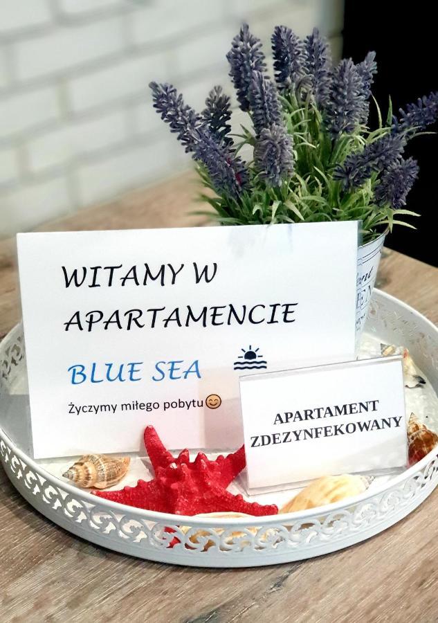Blue Sea Apartament Lesne Tarasy دجيفنوفيك المظهر الخارجي الصورة